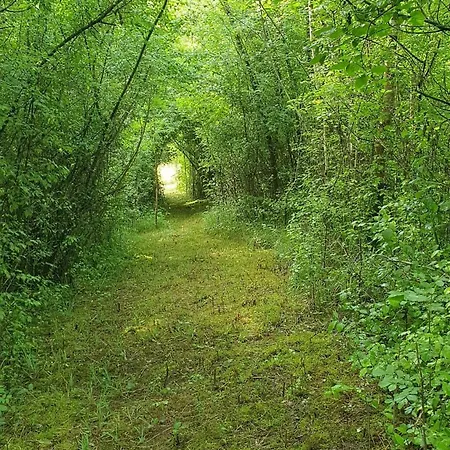 Les Sur La Colline - 21 M2 With Shared Pool *