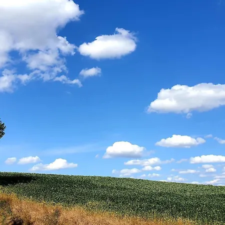 Nyaraló Les Sur La Colline - 21 M2 With Shared Pool
