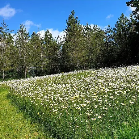 Сasa de vacaciones Les Sur La Colline - 21 M2 With Shared Pool Montignac-de-Lauzun