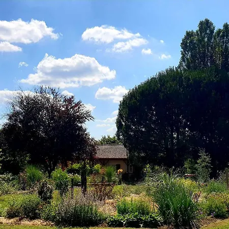 Les Sur La Colline - 21 M2 With Shared Pool * Montignac-de-Lauzun