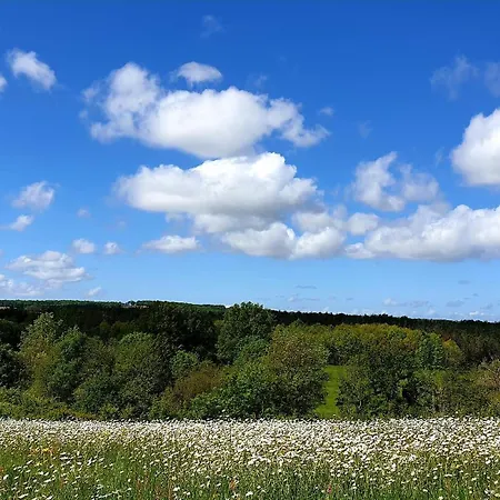 Les Sur La Colline - 21 M2 With Shared Pool Montignac-de-Lauzun