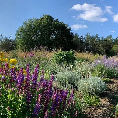 Les Sur La Colline - 21 M2 With Shared Pool Сasa de vacaciones