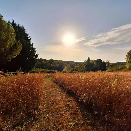 Les Sur La Colline - 21 M2 With Shared Pool *