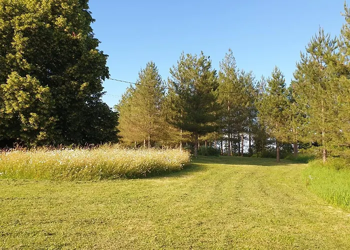 Les Sur La Colline - 21 M2 With Shared Pool Feriehus