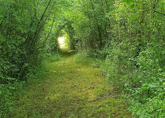 Les Sur La Colline - 21 M2 With Shared Pool *