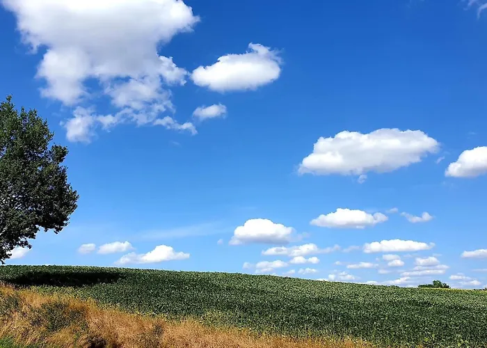 Feriehus Les Sur La Colline - 21 M2 With Shared Pool