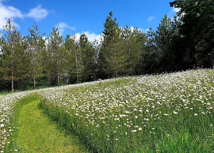 Feriehus Les Sur La Colline - 21 M2 With Shared Pool Montignac-de-Lauzun