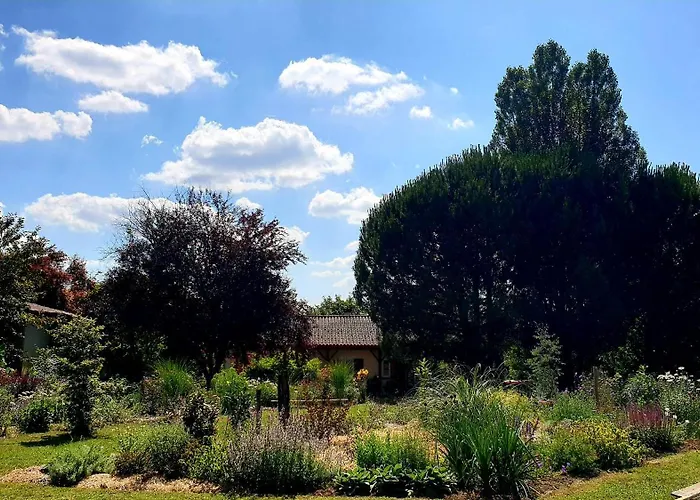 Les Sur La Colline - 21 M2 With Shared Pool * Montignac-de-Lauzun