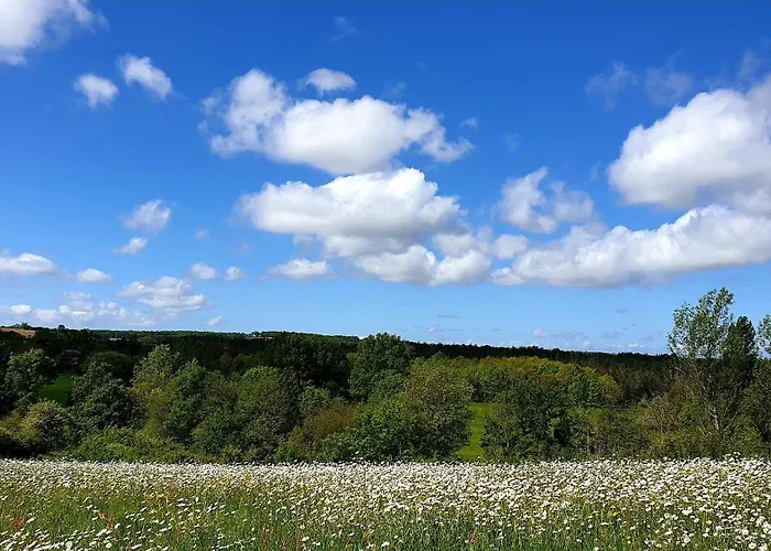 Les Sur La Colline - 21 M2 With Shared Pool Montignac-de-Lauzun