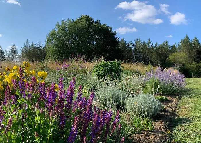 Les Sur La Colline - 21 M2 With Shared Pool Feriehus