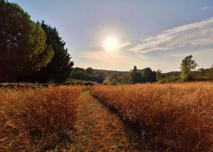 Les Sur La Colline - 21 M2 With Shared Pool *